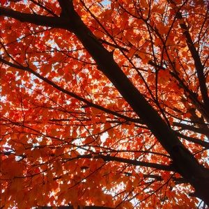 Meet your Posher, Kamal